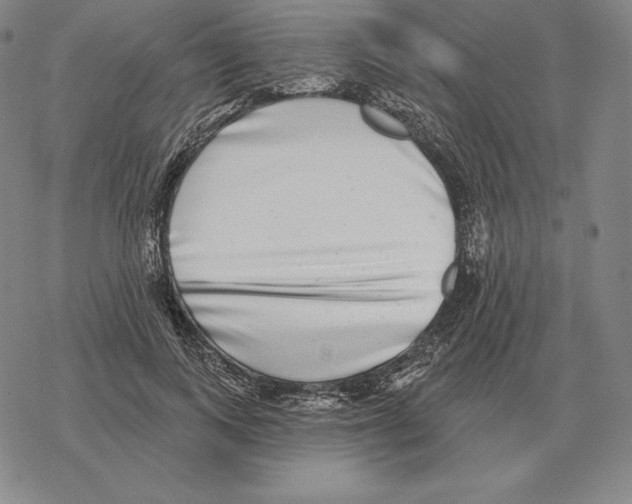 X0000069380743200606091650