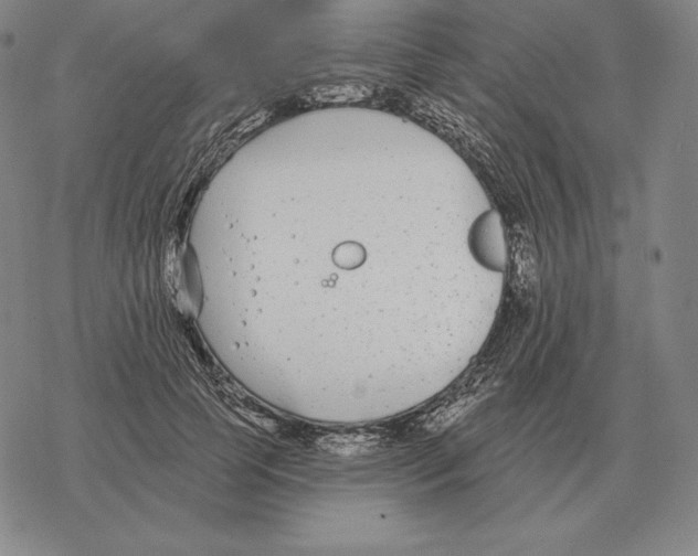 X0000069380745200606091650