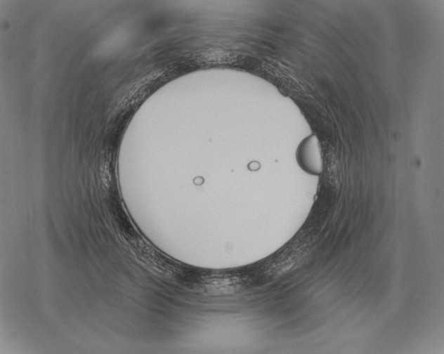 X0000069380746200606091650