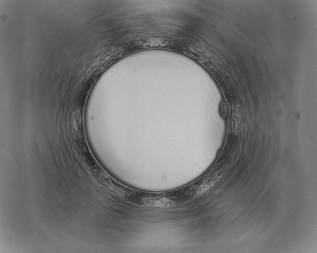 X0000069380747200606091650