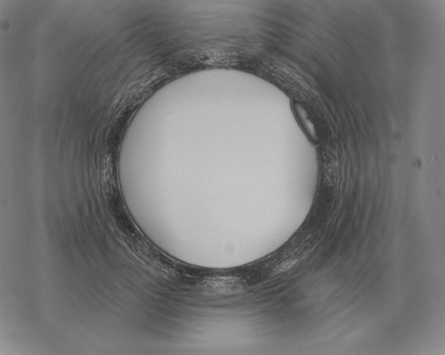 X0000069380748200606091650