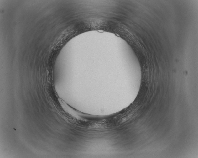 X0000069380750200606091650