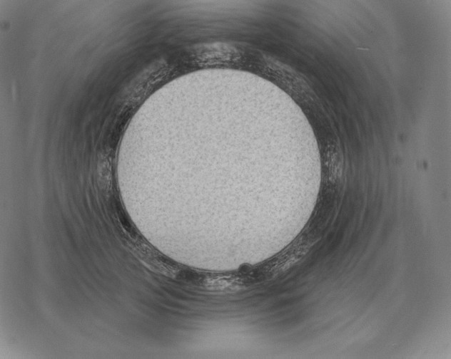 X0000069380753200606091651