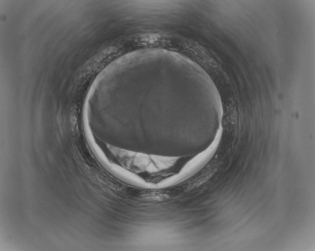 X0000069380754200606091651