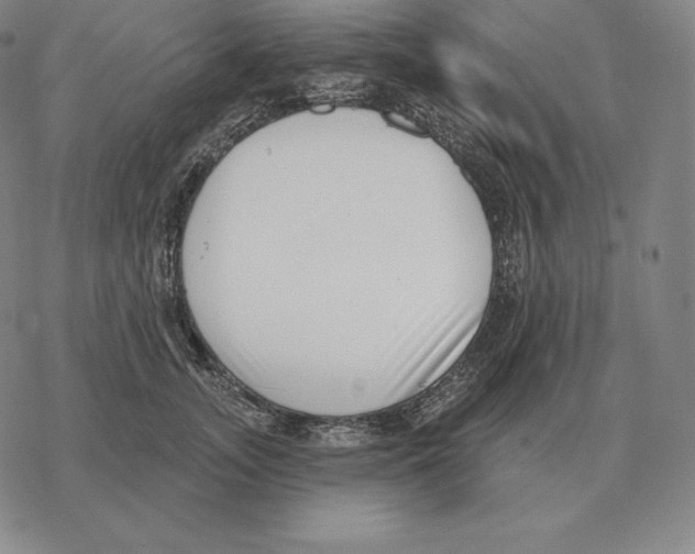 X0000069380755200606091651