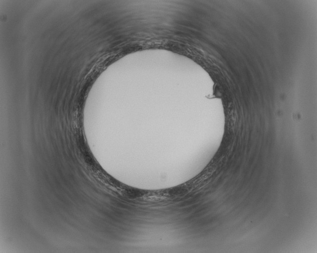 X0000069380756200606091651