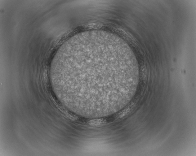 X0000069380757200606091651