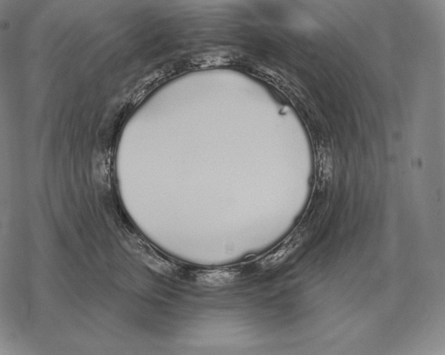 X0000069380759200606091651