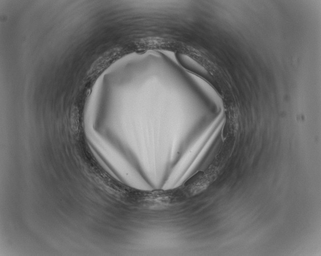 X0000069380760200606091651