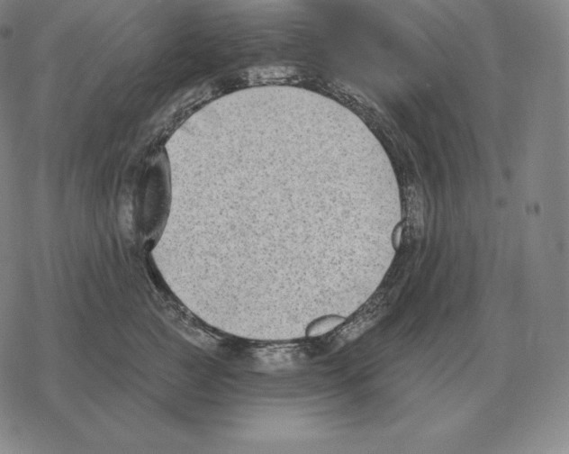 X0000069380761200606091651