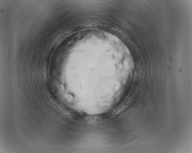 X0000069380762200606091651