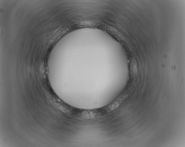 X0000069380764200606091651