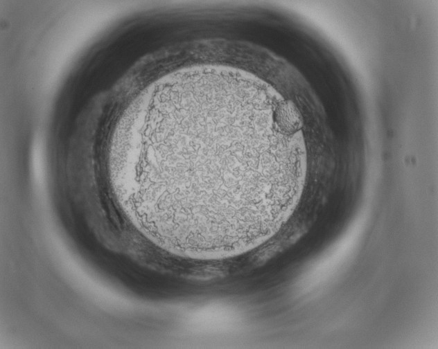 X0000069380765200606091651