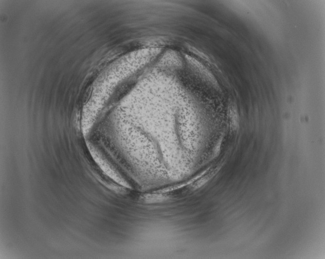 X0000069380766200606091651