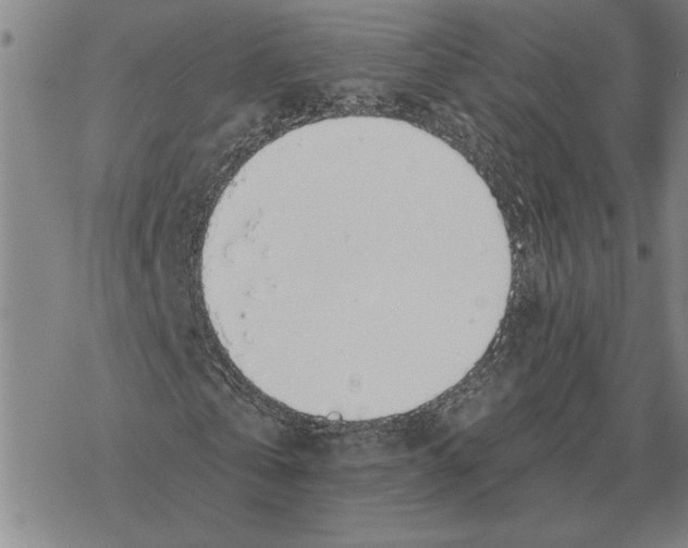 X0000069380769200606091650