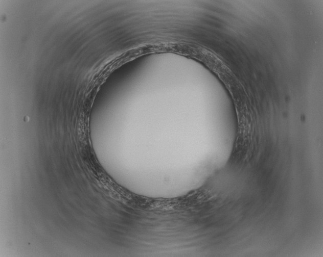 X0000069380773200606091650