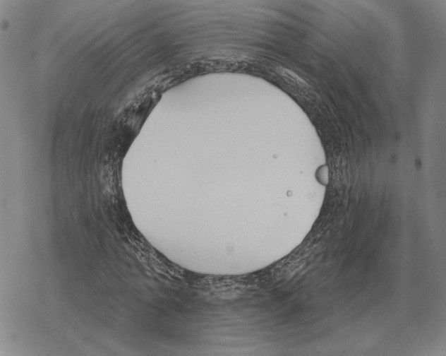 X0000069380774200606091650