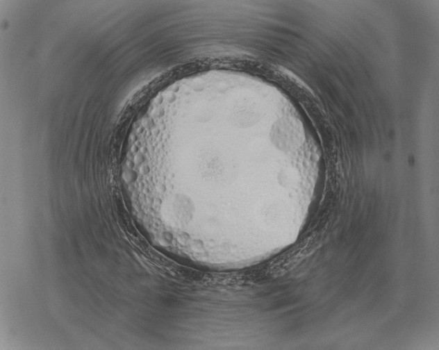 X0000069380775200606091650