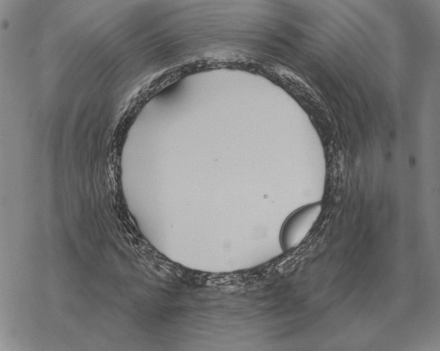 X0000069380776200606091650