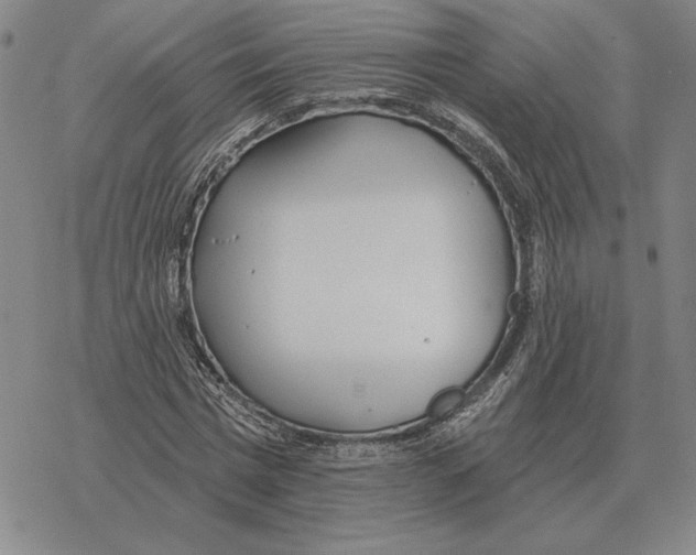 X0000069380777200606091650