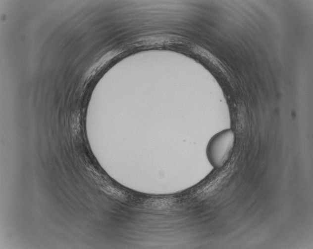 X0000069380778200606091650