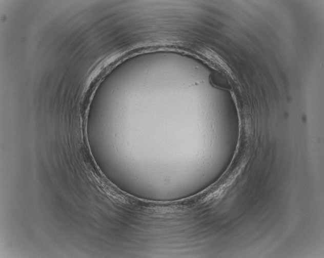 X0000069380781200606091650