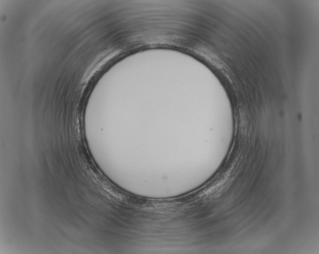 X0000069380782200606091650