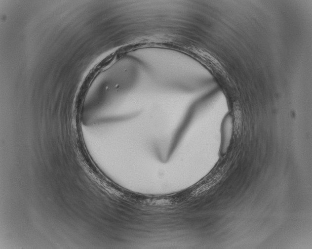 X0000069380784200606091650