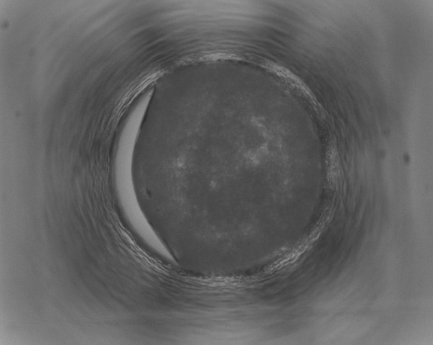 X0000069380785200606091650