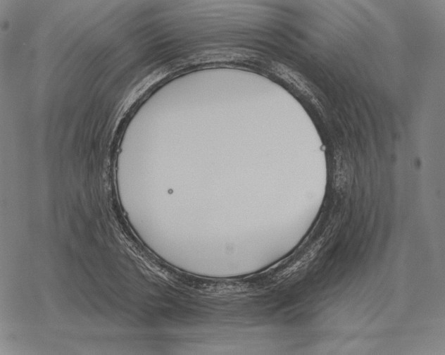 X0000069380786200606091650