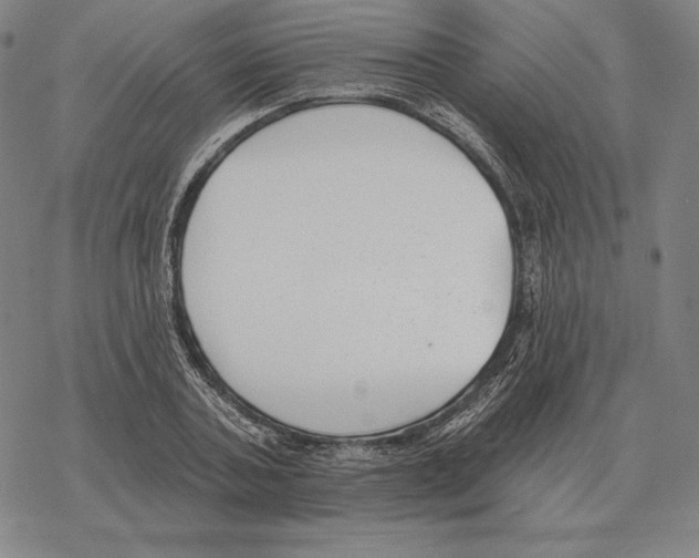 X0000069380787200606091650