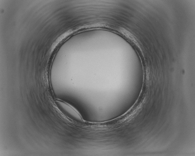 X0000069380789200606091650