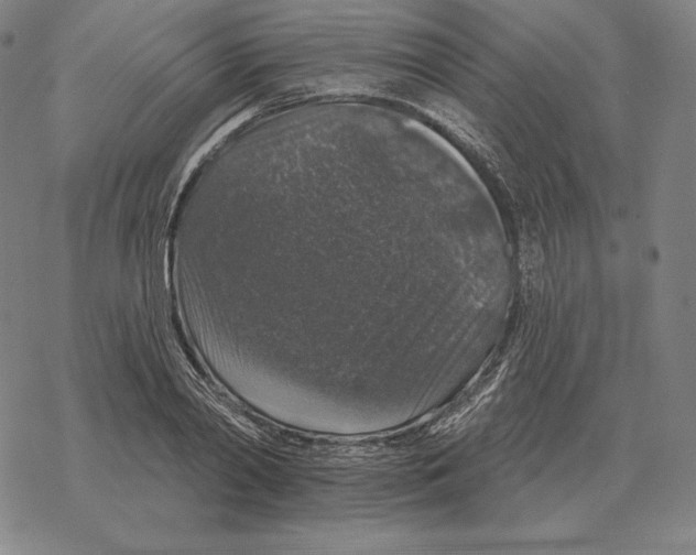 X0000069380790200606091650