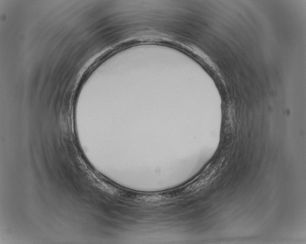 X0000069380791200606091650