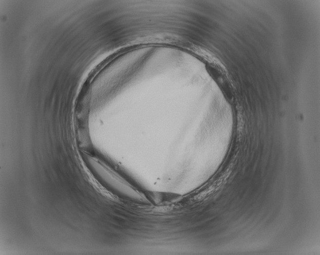 X0000069380792200606091650