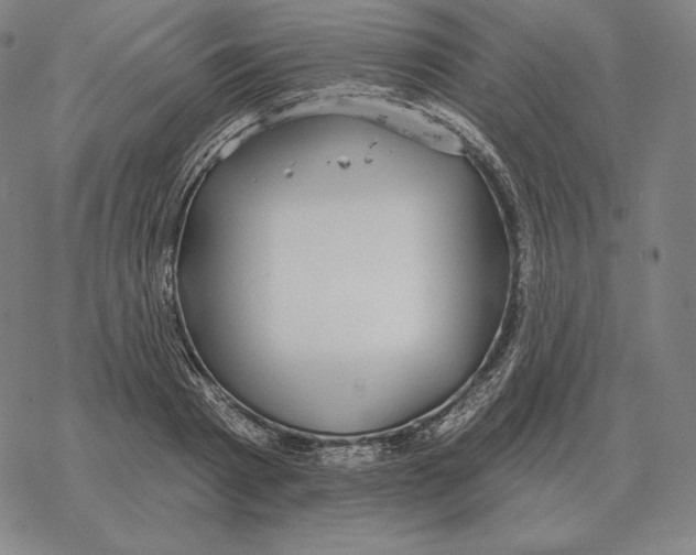 X0000069380793200606091650