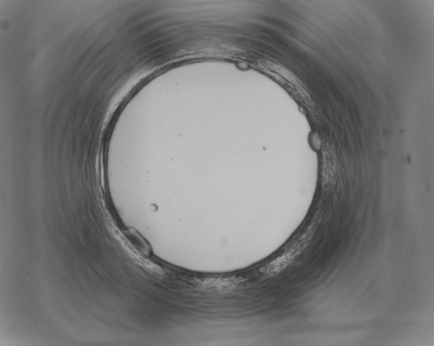 X0000069380796200606091650