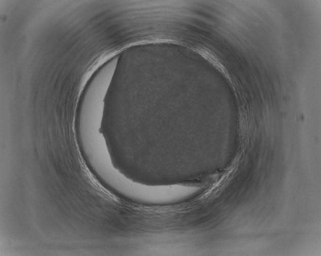 X0000069380797200606091650