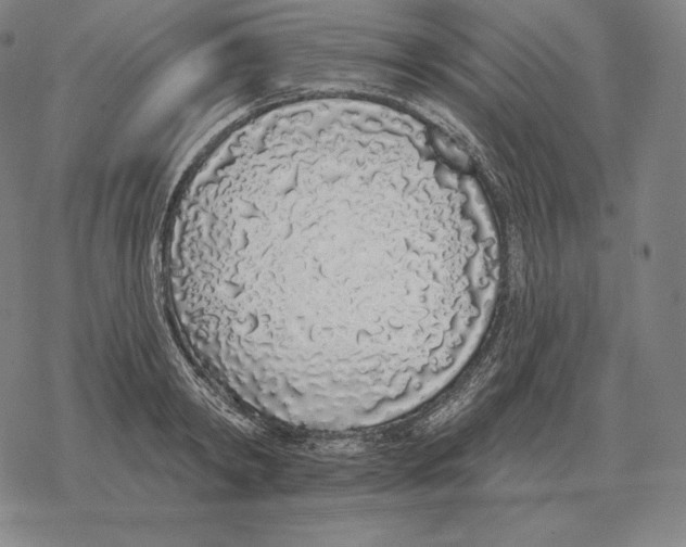 X0000069380798200606091650