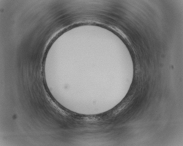 X0000069380799200606091649