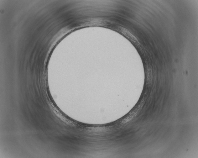 X0000069380800200606091649