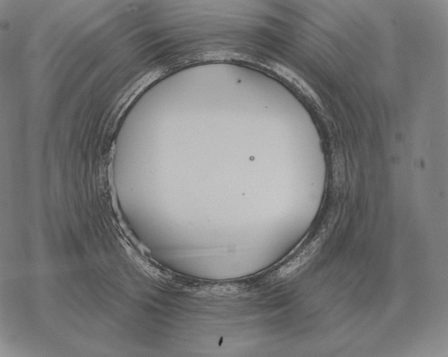 X0000069380801200606091649