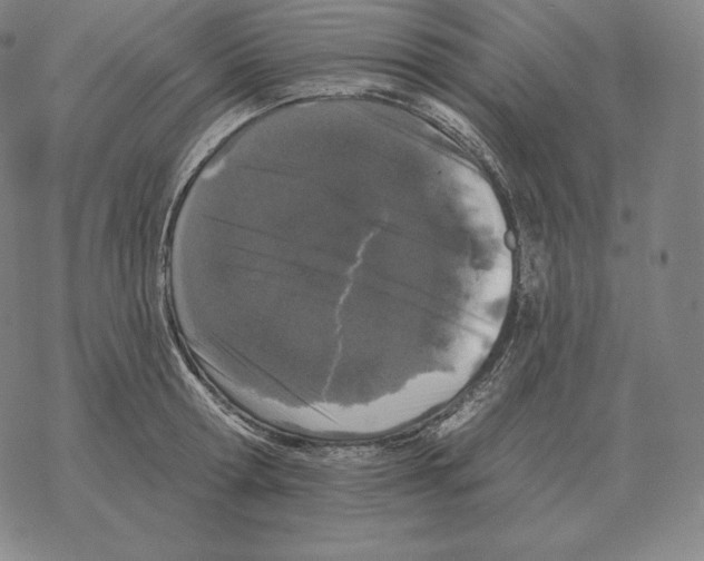 X0000069380802200606091649