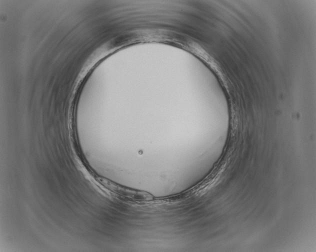 X0000069380803200606091649