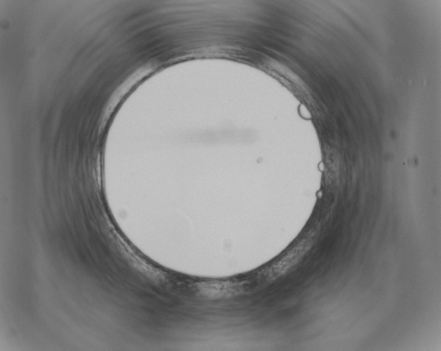 X0000069380804200606091649