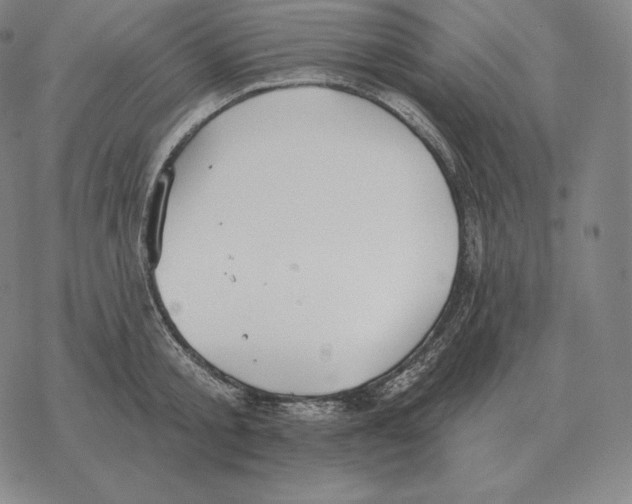 X0000069380805200606091649