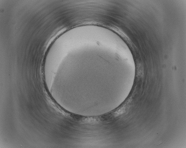 X0000069380806200606091649