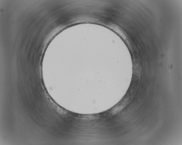 X0000069380807200606091649