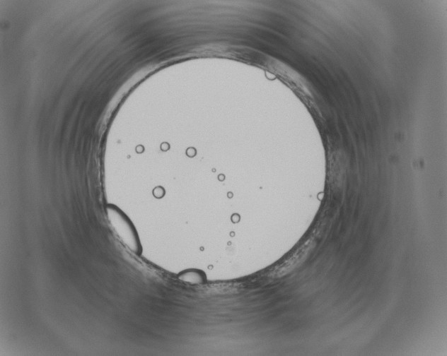 X0000069380808200606091649