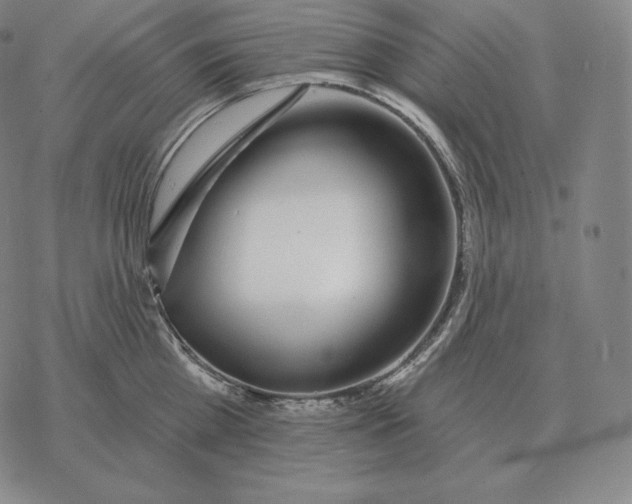 X0000069380809200606091649